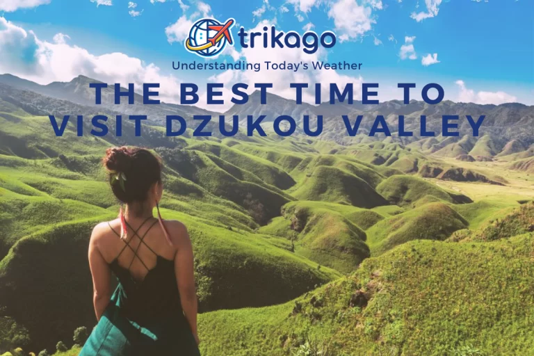 The Best Time to Visit Dzukou Valley Understanding Todays Weather